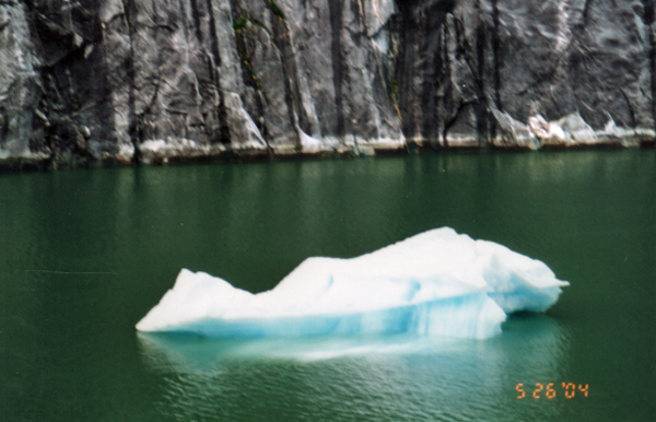iceberg in the water